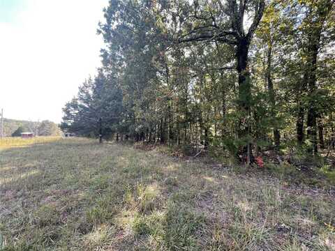 4 Woodland Heights W, Poplar Bluff, MO 63901