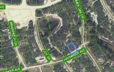 496 HAYMAKER AVE, Lake Placid, FL 33852