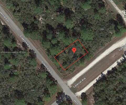 1225 Greenfield St, Lake Placid, FL 33852