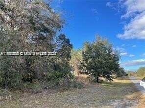 00000 SW 147TH Loop, Other City - In The State Of Florida, FL 34473