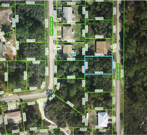 117 Glenn Ave NW, Lake Placid, FL 33852