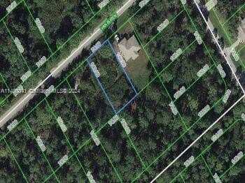 1231 VAN BUREN ST, Lake Placid, FL 33852