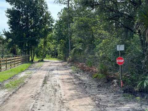 0 County Road 335, Other City - In The State Of Florida, FL 32110