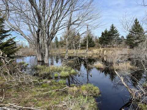 lot #8 Atlantic Road, Swans Island, ME 04685