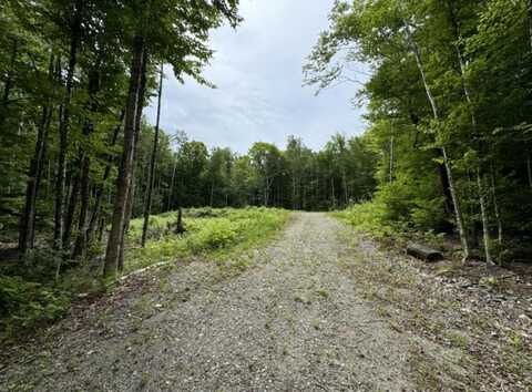 Lot WA-9 Smith Cove Road, Cathance Township, ME 04628