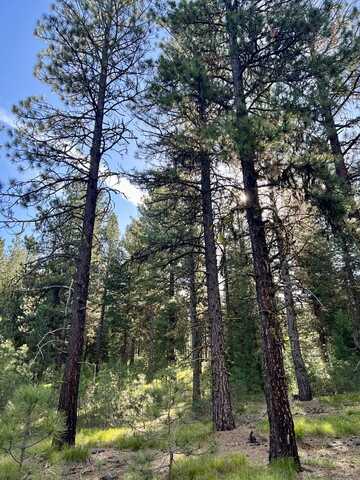 Lot 20 Meadows Drive, New Meadows, ID 83654