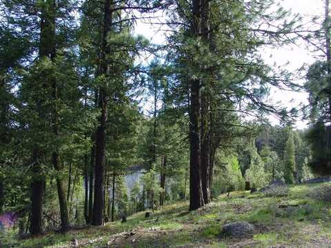 B52 Osprey Ridge Road, Cascade, ID 83611