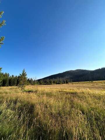 TBD Warren Wagon Road, Secesh, ID 83638