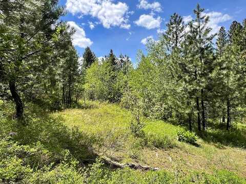 T75 LI Cabarton Road, Cascade, ID 83611