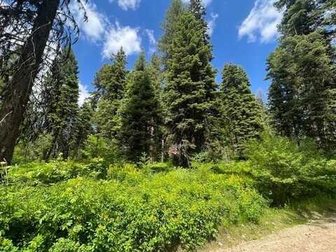 TBD Grouse Trail, Donnelly, ID 83615