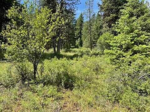 Lot 20 Little Salmon Road, New Meadows, ID 83654