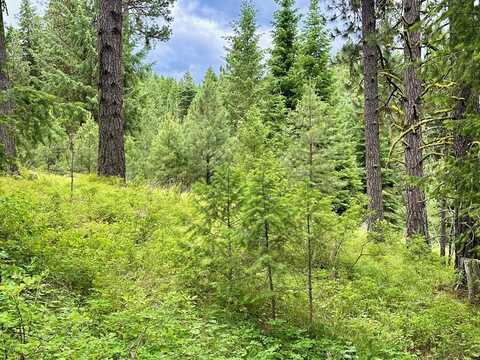 68 Panorama Drive, Cascade, ID 83611