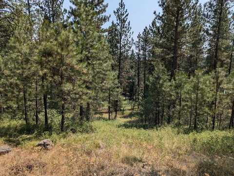 LOT 17 Syringa Drive, New Meadows, ID 83654