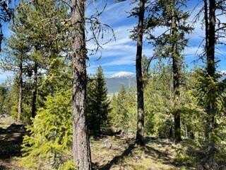 Lot 24 Kimberland Drive, New Meadows, ID 83654