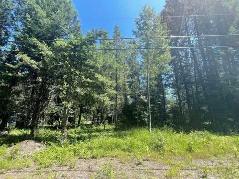 1790 Warren Wagon Road, McCall, ID 83638