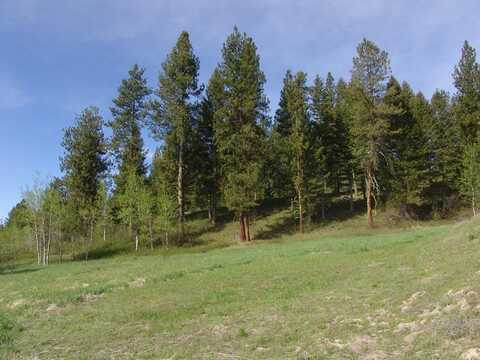 21 Rehn Loop, Cascade, ID 83611