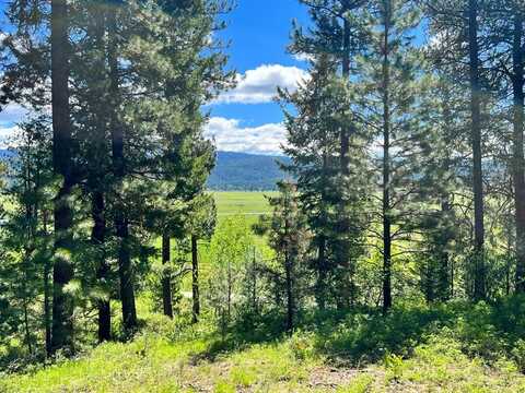 L3 B2 Rehn Loop, Cascade, ID 83611