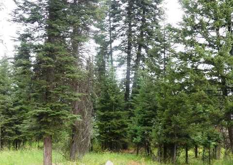 Lot 1 Clements Street, McCall, ID 83638