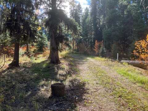 541 West Mountain Road, Cascade, ID 83611