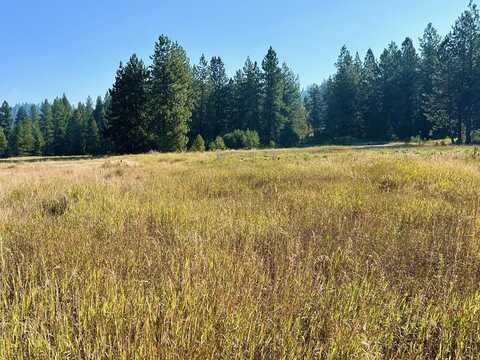 TBD Whitefield Lane, McCall, ID 83638