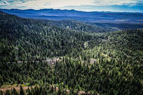 TBD Paddy Flat Road, McCall, ID 83638