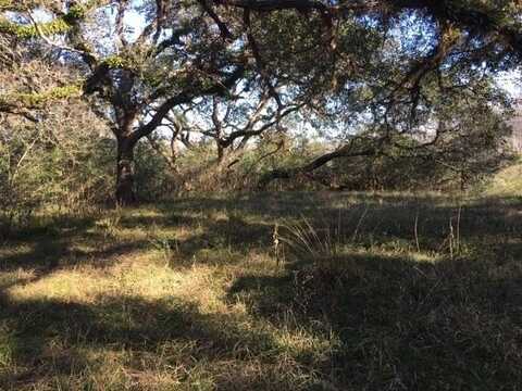 135 Center Tree, Matagorda, TX 77465