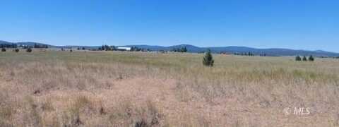 10 +/- Acres, Blake Rd., Alturas, CA 96101