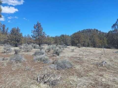 Lot 35 Blk, 24, MRE, Tiger Lane, Alturas, CA 96101