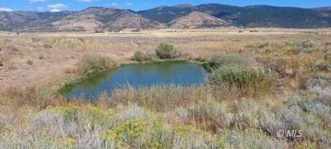 30 +/- Acres off County Rd. 139, Davis Creek, CA 96108