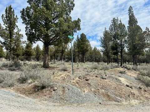 Mt Quail & Grizzley, Alturas, CA 96101