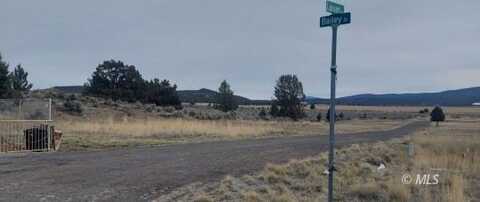 67 & 68 Lassen Drive, Alturas, CA 96101