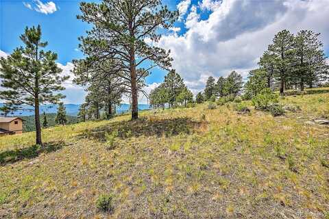 33550 Mount Wilson Trail, Pine, CO 80470