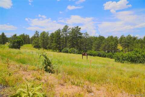 2121 Charlford Lane, Sedalia, CO 80135