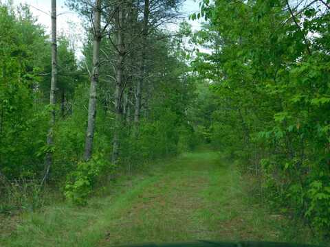 W606 Joe Johnson Rd, Suring, WI 54174