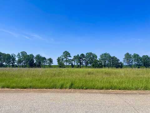 Lot 36 Crabapple Drive, Hawkinsville, GA 31036