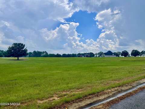 Lot 44 Crabapple Drive, Hawkinsville, GA 31036