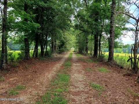 809 Osborn Moody Road, Poplarville, MS 39470