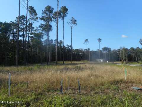 Apollo Way Lot # 47, Canton, MS 39046