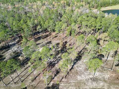 Lot 2 Cowart Holliday Road, Poplarville, MS 39470