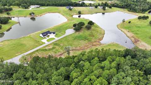 Lot 15 Gracie'S Way, Lucedale, MS 39452