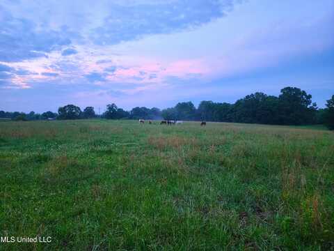 0 Old Hwy 7, Holly Springs, MS 38635