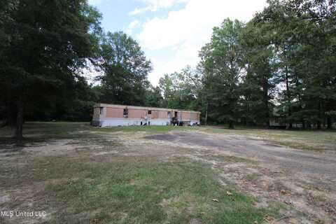 1603 Holly Bush Road, Pelahatchie, MS 39145