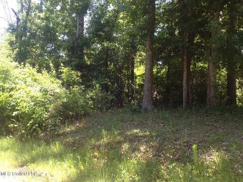 Lot 4 Maple Avenue, Ocean Springs, MS 39564