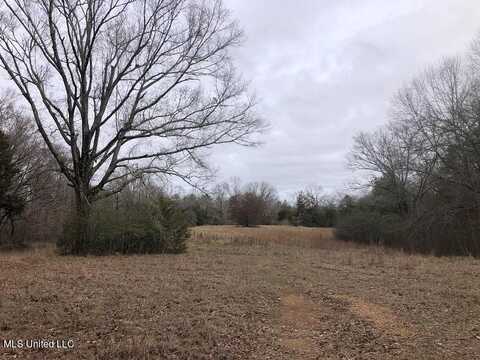 45 Shady Grove, Goodman, MS 39079