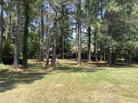 101 Grandview Circle, Brandon, MS 39047