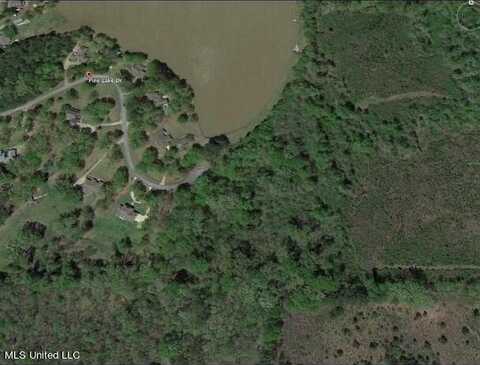 0 Pine Lake Drive, Terry, MS 39170