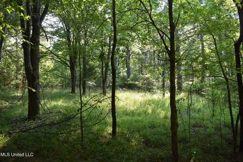 Lot 26 &27 Leonard Lane, Holly Springs, MS 38635