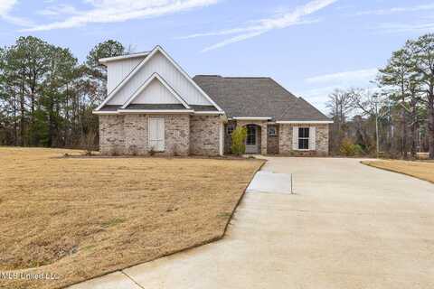 202 Lizzy Lane, Brandon, MS 39047