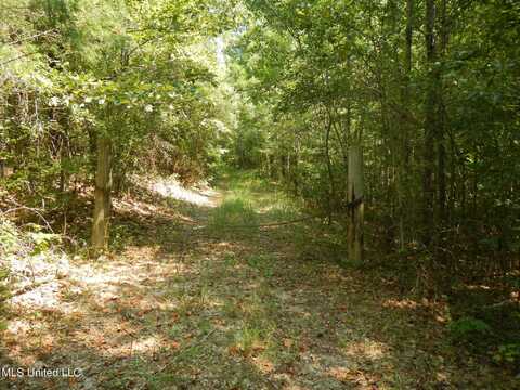 N Hwy 39, De Kalb, MS 39328