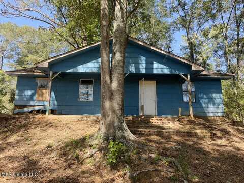 120 Doris Mccallum Road, Magee, MS 39111